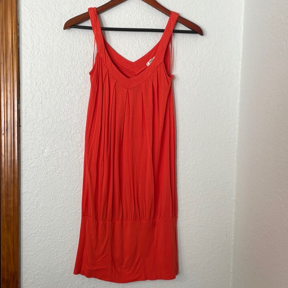 Long shirt or short dress.